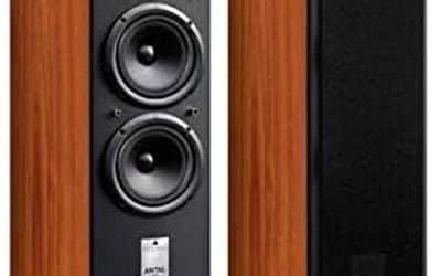 Test : enceinte colonne Triangle Antal 902