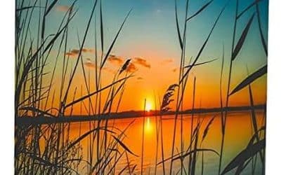 Test : écran de projection motorisé Kimex 042-3626