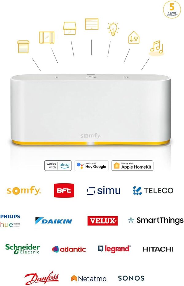 Somfy 1870595 - Tahoma Switch | Commande Intelligente pour centraliser et connecter Votre logement | Compatible IO, RTS & Zigbee 3.0 | Contrôle à la Voix avec l'Assistant Google, Amazon Alexa HomeKit